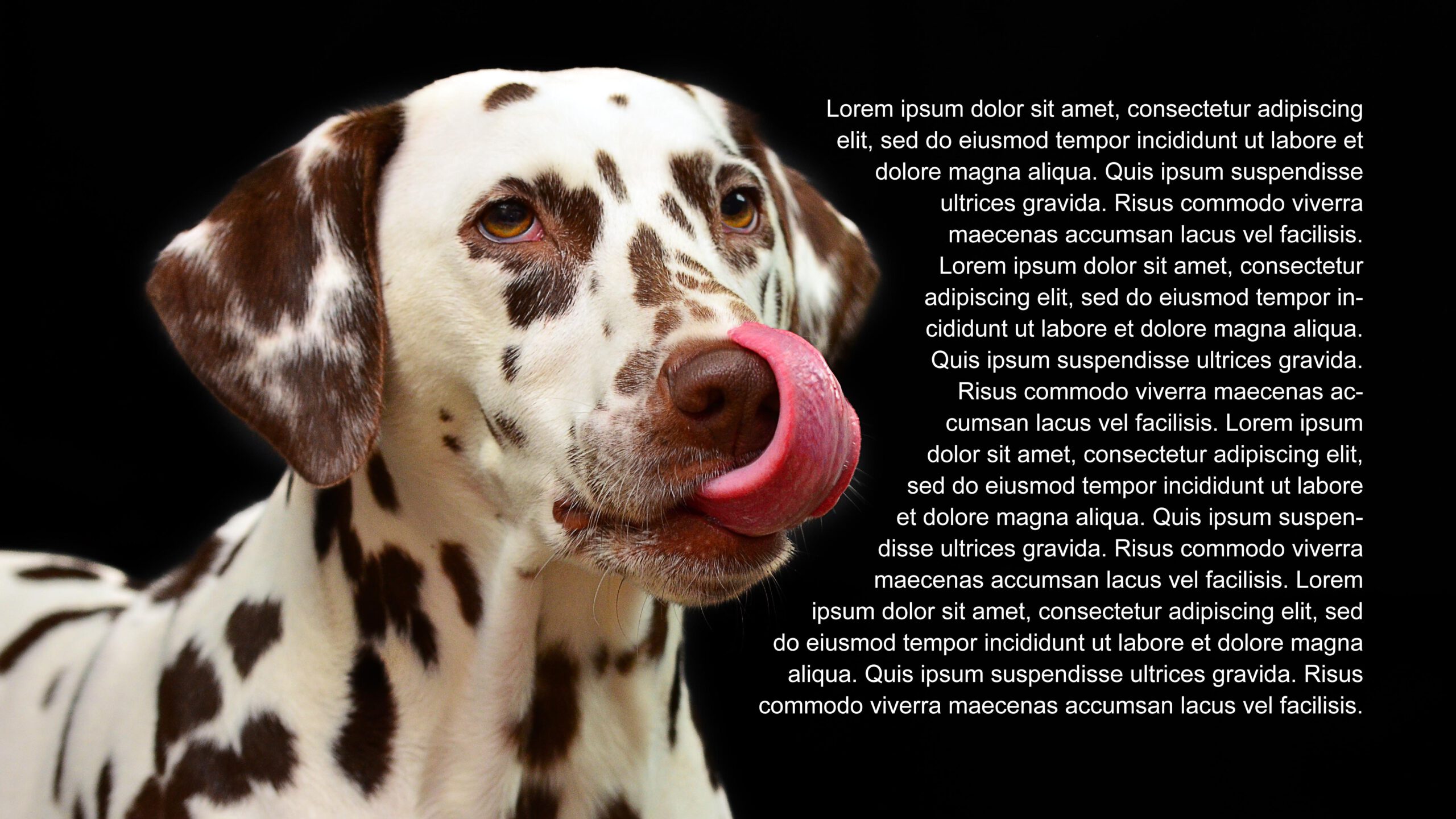 make text wrap around image photoshop