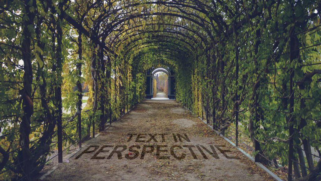 text in perspective