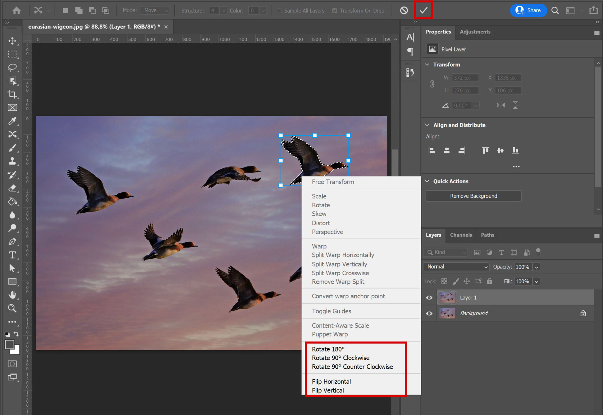 Move File Picture Move object or subject in Adobe Photoshop - Edit with Kim