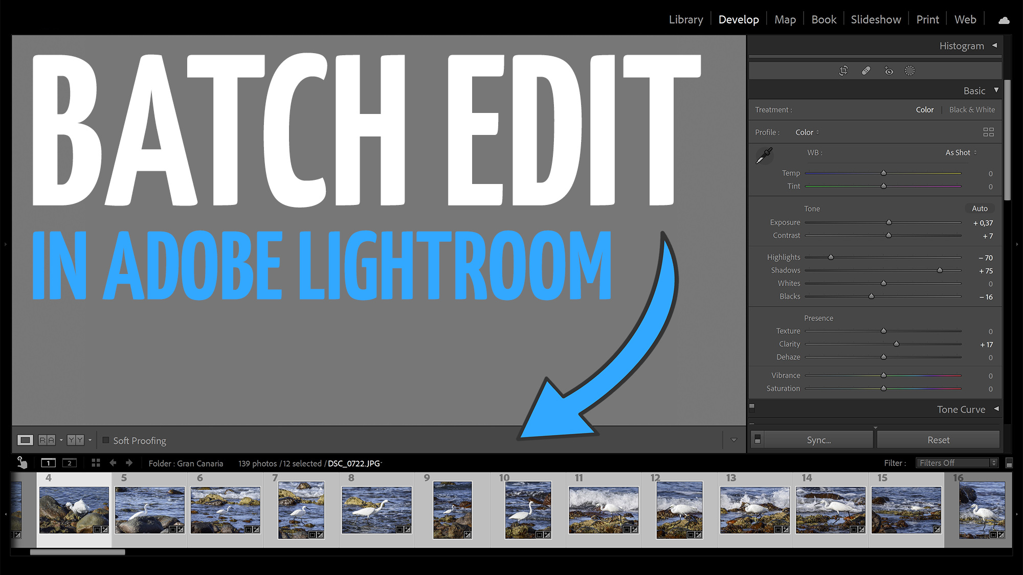 Batch edit photos in Adobe Lightroom Edit with Kim