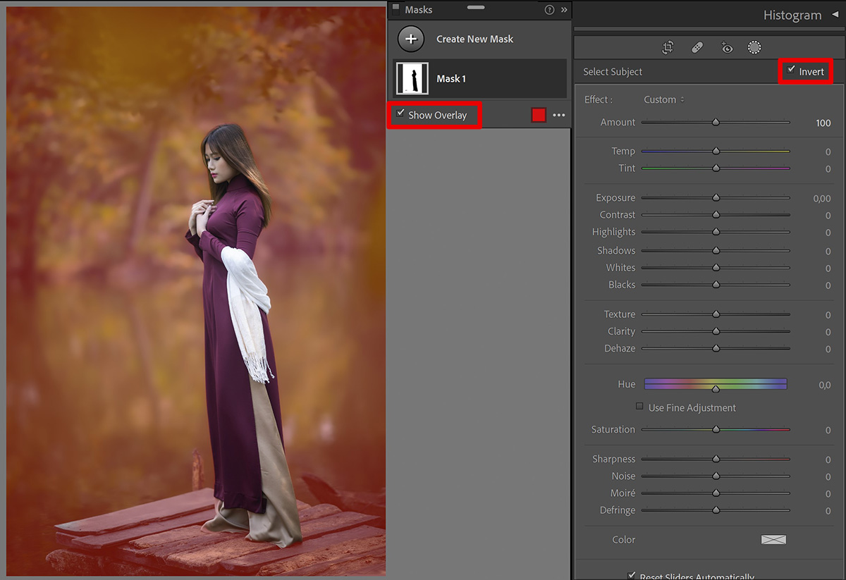 Smoothen / blur background in Lightroom Edit with Kim
