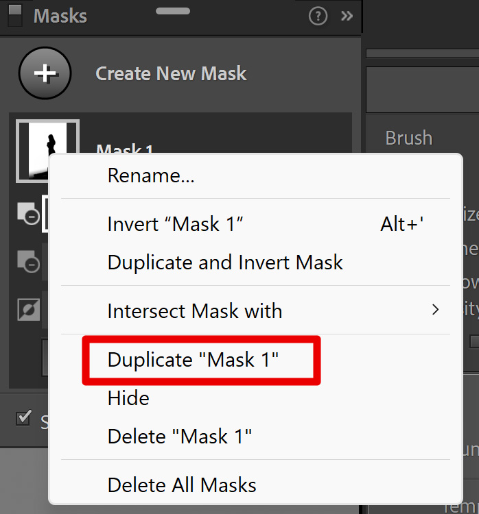 duplicate mask